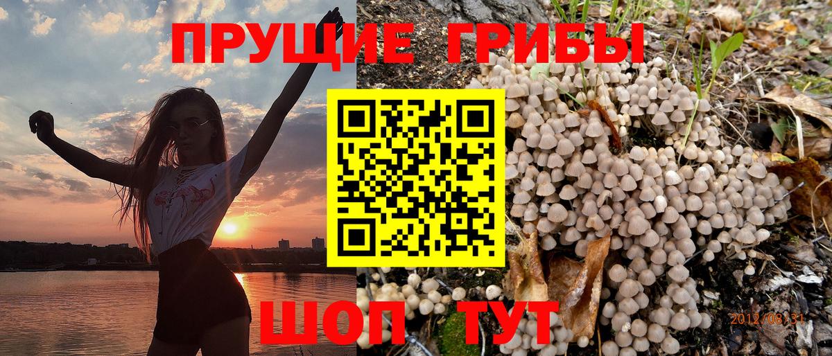 магазин продажи наркотиков  Псилоцибиновые грибы Magic Shrooms  Вход с VPN  Арзамас 